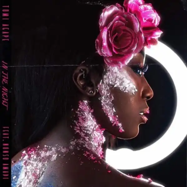 Tomi Agape - In The Night feat. Nonso Amadi